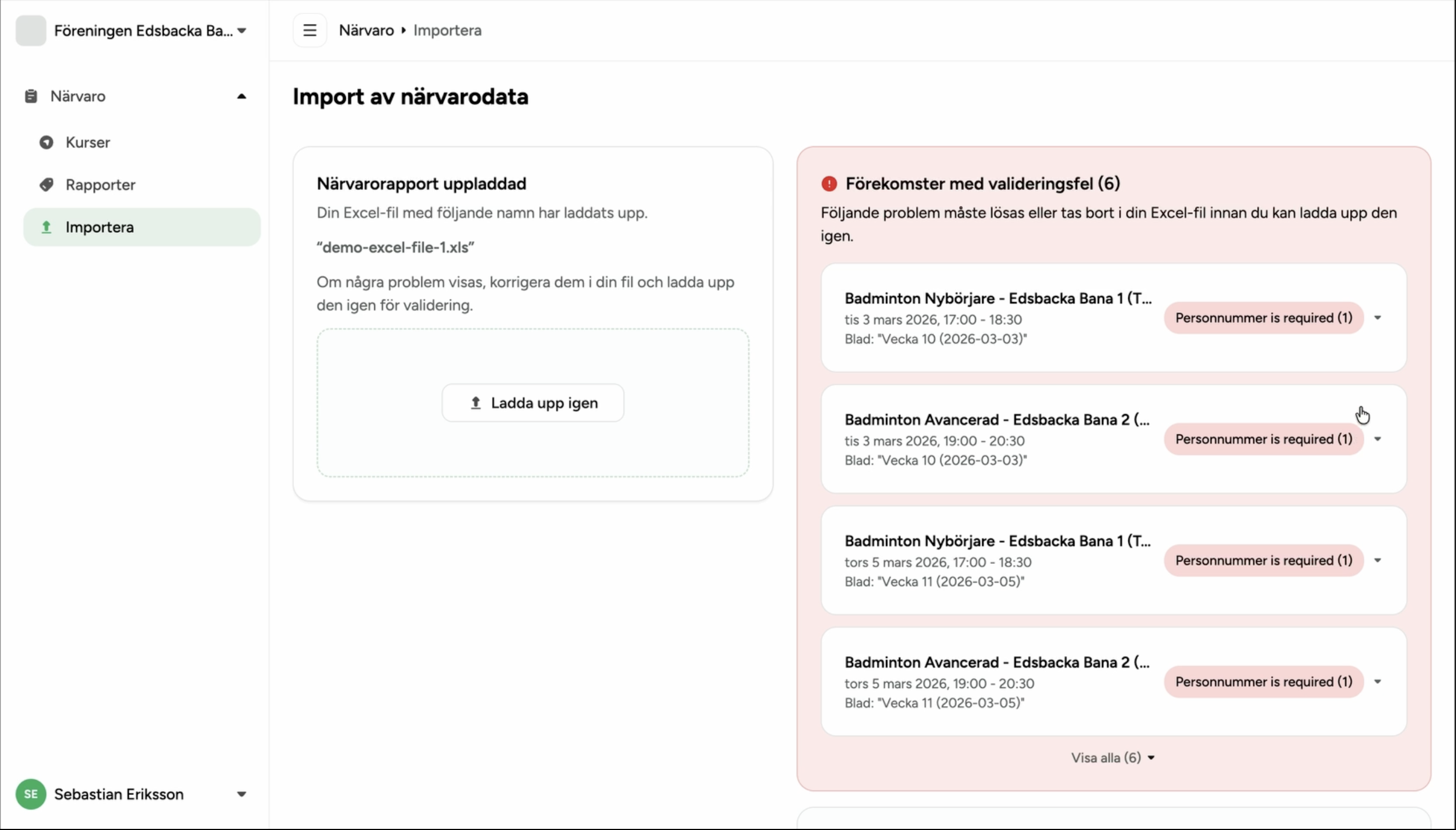 Validation results panel with error cards expanded